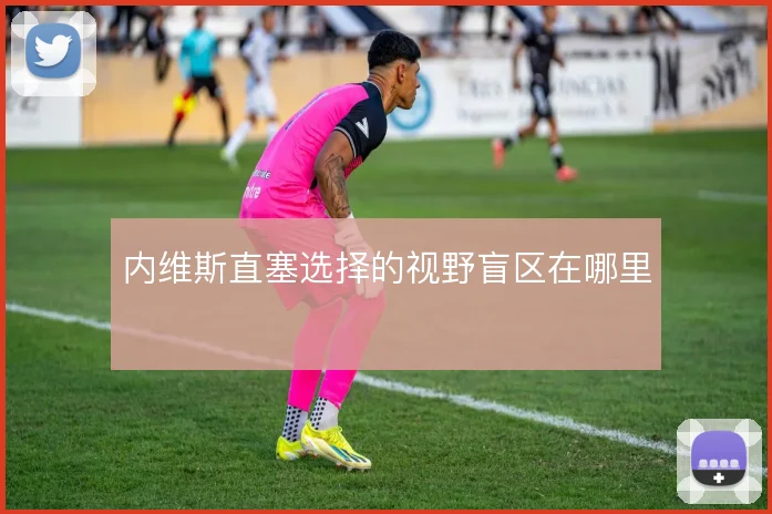 内维斯直塞选择的视野盲区在哪里
