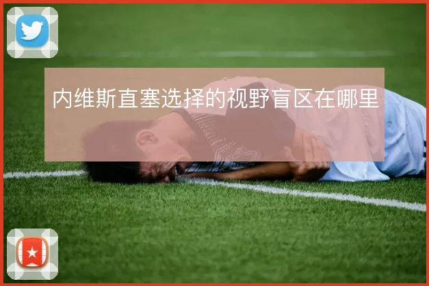 内维斯直塞选择的视野盲区在哪里