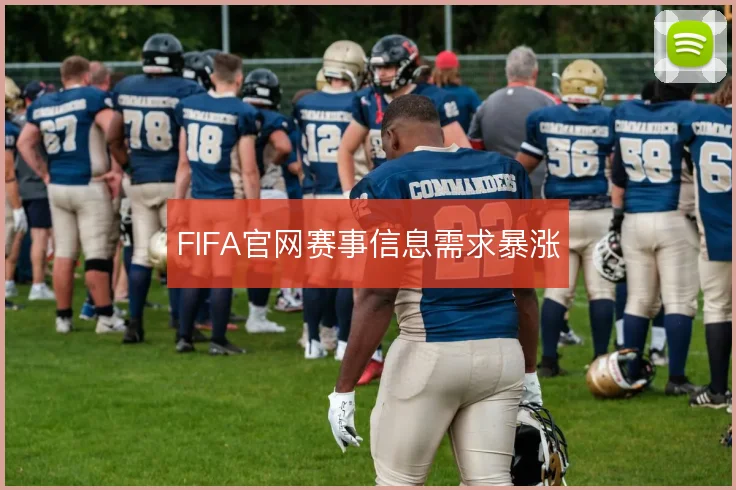 FIFA官网赛事信息需求暴涨
